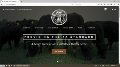 Z6 Cattle Wagyu Ranch Website Redesign